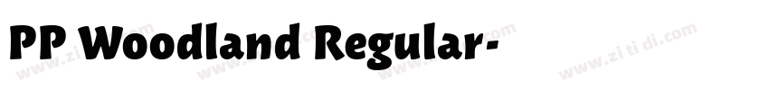 PP Woodland Regular字体转换